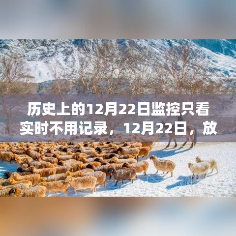 12月22日，放下記錄，心靈旅行的日子