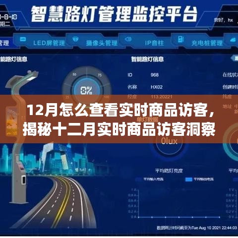 揭秘十二月實(shí)時商品訪客洞察，洞悉訪客動態(tài)與商業(yè)進(jìn)展的秘訣