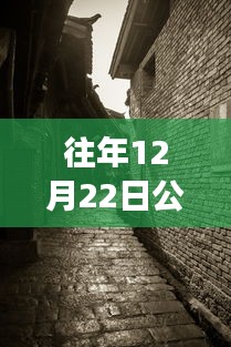 探秘寶藏店，公路云實時監(jiān)控軟件下載新體驗，12月22日實時下載探秘小巷深處之旅