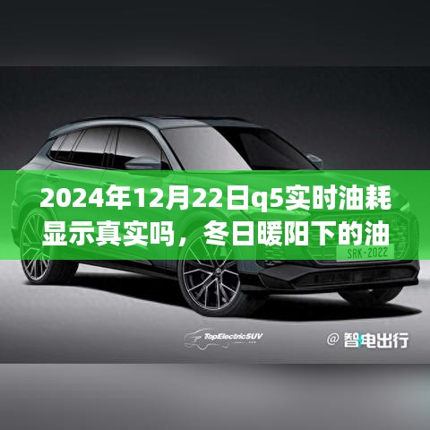 冬日暖陽(yáng)下的真相探尋，2024年Q5實(shí)時(shí)油耗顯示的可信度與友情之旅