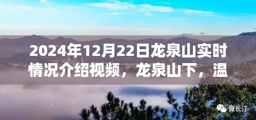 龍泉山實時探訪紀(jì)實，溫馨日常的奇遇與陪伴