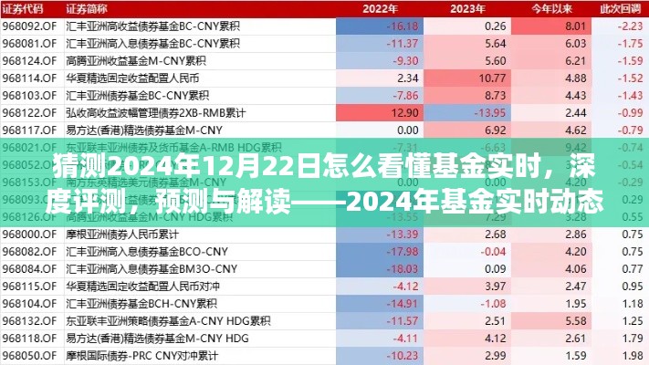 揭秘2024年基金實(shí)時(shí)動(dòng)態(tài)洞察系統(tǒng)，深度評(píng)測(cè)、預(yù)測(cè)與解讀的未來(lái)趨勢(shì)
