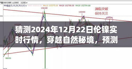 倫鎳行情預(yù)測(cè)與心靈之旅，穿越自然秘境，探索2024年倫鎳實(shí)時(shí)行情的奇妙交織