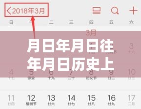 探秘歷史與現(xiàn)實(shí)交織的物流軌跡，實(shí)時(shí)物流查詢方法與特色小店揭秘