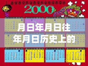 月光下的飛行奇遇，航班實(shí)時(shí)信號(hào)與溫馨的尋友之旅