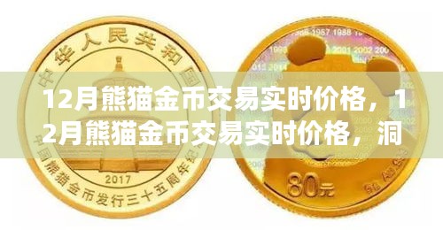 12月熊貓金幣實(shí)時交易價格，洞悉市場動態(tài)，把握投資機(jī)會