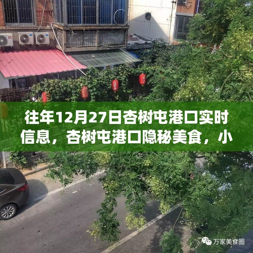 杏樹(shù)屯港口，美食秘境與實(shí)時(shí)信息的探索之旅