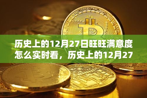 歷史上的12月27日旺旺滿意度實時查看指南，初學(xué)者與進(jìn)階用戶必看