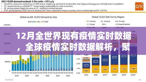 全球疫情實(shí)時(shí)數(shù)據(jù)解析，聚焦12月疫情動(dòng)態(tài)與動(dòng)態(tài)變化