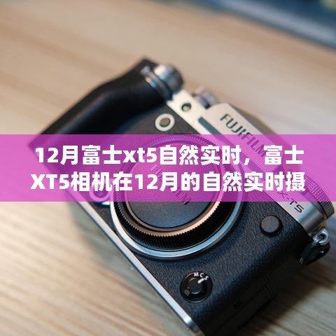 富士XT5相機(jī)，十二月自然實(shí)時(shí)攝影體驗(yàn)分享