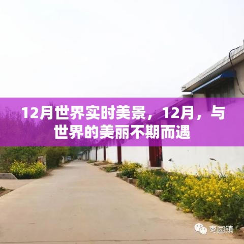 12月世界美景盡收眼底，與全球美麗的不期之約