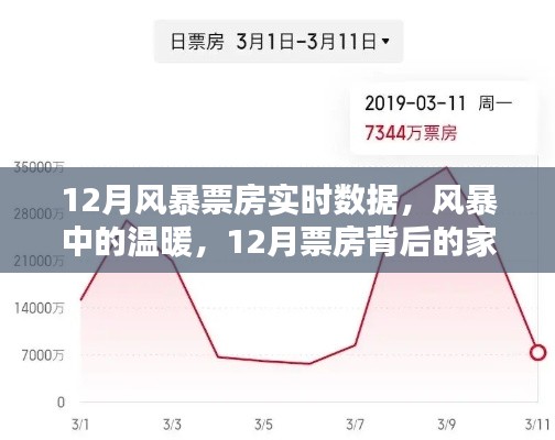 12月風(fēng)暴票房背后的家庭觀影時光，實時數(shù)據(jù)與溫暖瞬間