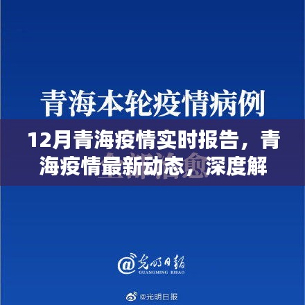 青海疫情深度解析，十二月實(shí)時(shí)報(bào)告與最新動(dòng)態(tài)