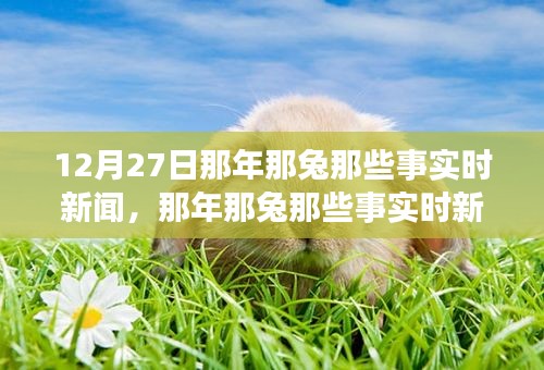 那年那兔時(shí)事新聞追蹤解讀指南，從初學(xué)者到進(jìn)階用戶的步驟指南