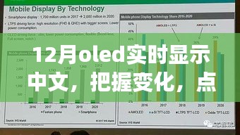 12月OLED中文實時顯示，把握變化，點亮未來——展現(xiàn)你的中文魅力