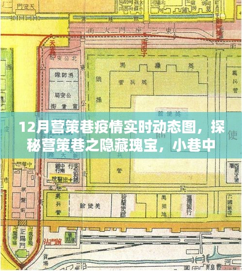 營(yíng)策巷疫情動(dòng)態(tài)與隱藏瑰寶探索，小巷特色小店實(shí)時(shí)更新數(shù)據(jù)報(bào)告