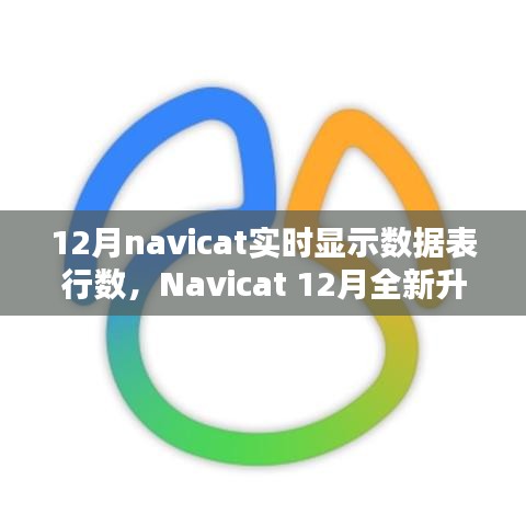 Navicat 12月升級(jí)亮點(diǎn)，實(shí)時(shí)數(shù)據(jù)表行數(shù)顯示，科技助力數(shù)據(jù)管理便捷性