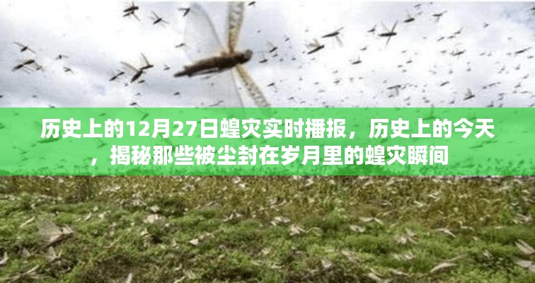 歷史上的蝗災瞬間，揭秘塵封歲月中的12月27日蝗災實時播報