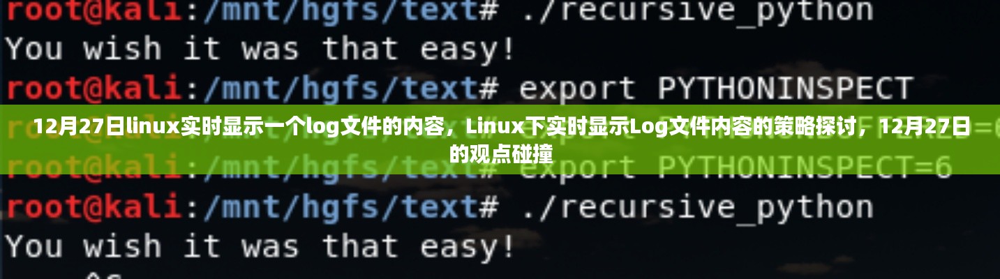 Linux下實(shí)時顯示Log文件內(nèi)容的策略探討，觀點(diǎn)碰撞與實(shí)時更新技術(shù)