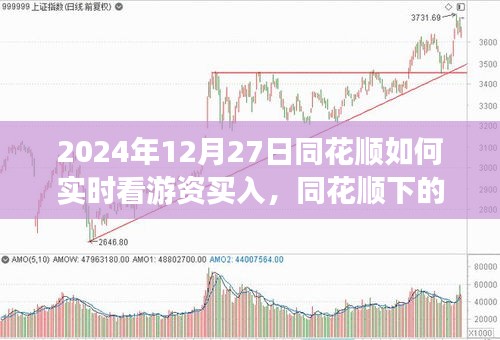 同花順下的游資買入實時觀察，游資背后的故事與股市之旅的啟示