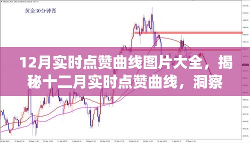 揭秘十二月實(shí)時(shí)點(diǎn)贊曲線，洞悉數(shù)字時(shí)代互動(dòng)趨勢(shì)的圖片大全