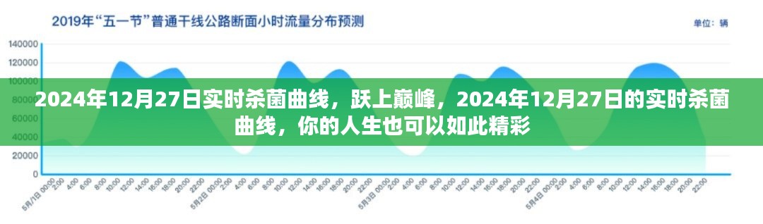 躍上巔峰，實(shí)時(shí)殺菌曲線揭秘人生精彩篇章，2024年12月27日記錄時(shí)刻