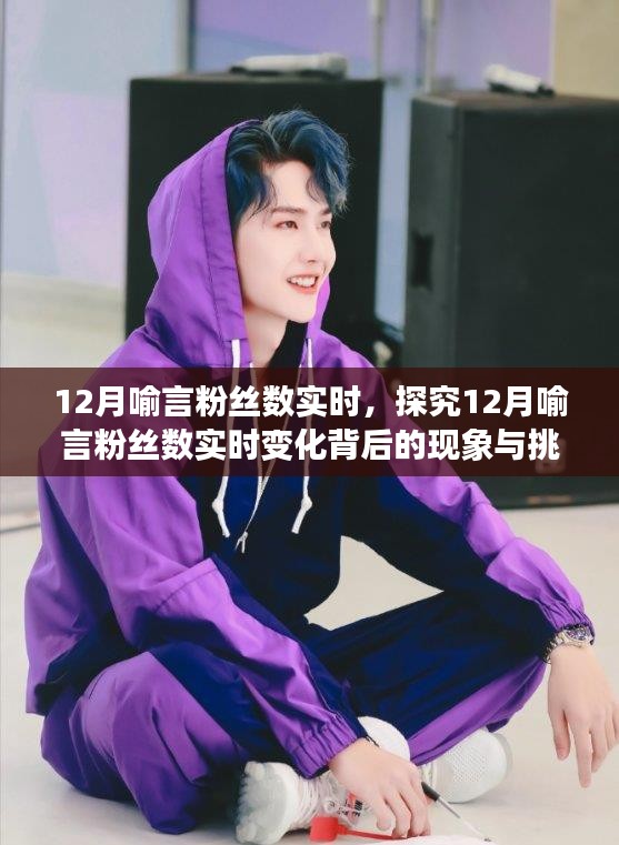 探究喻言粉絲數(shù)實(shí)時變化背后的現(xiàn)象與挑戰(zhàn)，12月粉絲增長分析