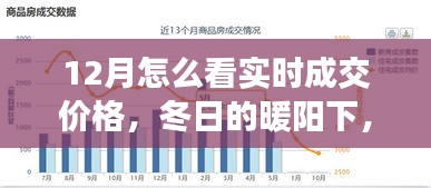 冬陽下的實(shí)時(shí)成交價(jià)格探索之旅，與友共賞奇妙之旅