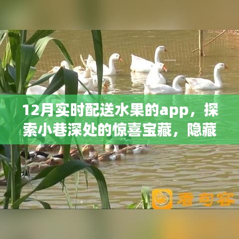 探索小巷深處的鮮果寶藏，12月實(shí)時配送水果APP驚喜上線