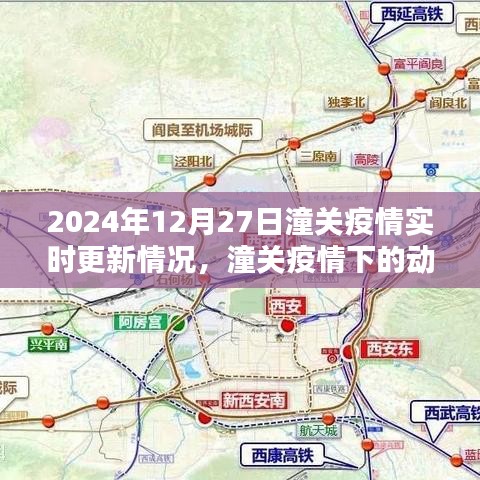 潼關(guān)疫情深度分析，實(shí)時(shí)更新與應(yīng)對(duì)策略
