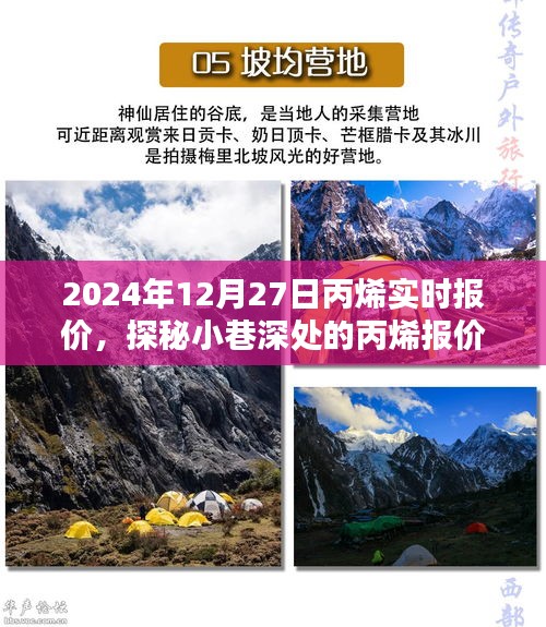 探秘丙烯報價秘境，揭秘2024年12月27日丙烯實時行情與報價深度解析
