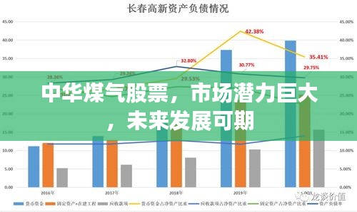 中華煤氣股票，市場(chǎng)潛力巨大，未來發(fā)展可期