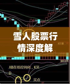 雪人股票行情深度解析，最新價(jià)格走勢(shì)與投資建議