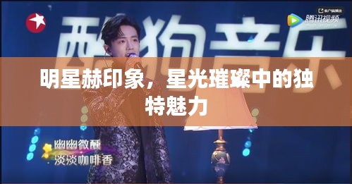 明星赫印象，星光璀璨中的獨(dú)特魅力