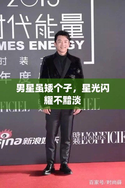 男星雖矮個子，星光閃耀不黯淡