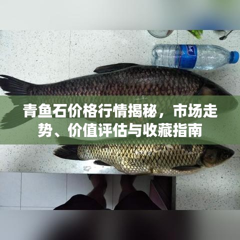 青魚石價格行情揭秘，市場走勢、價值評估與收藏指南