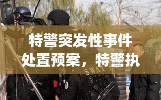 特警突發(fā)性事件處置預案，特警執(zhí)勤突發(fā)事件視頻 