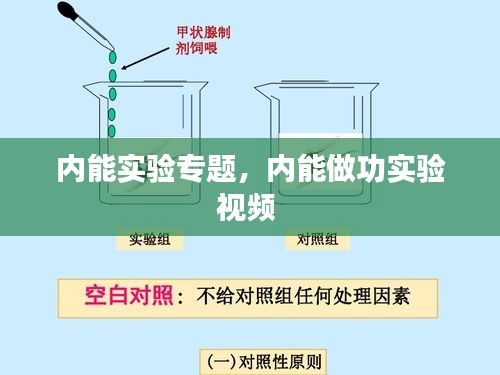 吉光片羽 第2頁(yè)