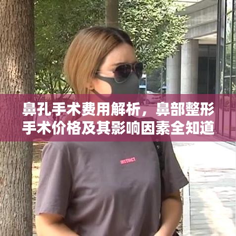 鼻孔手術(shù)費(fèi)用解析，鼻部整形手術(shù)價格及其影響因素全知道