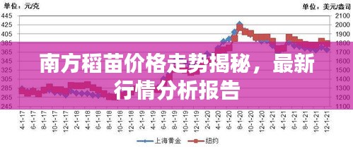 南方稻苗價格走勢揭秘，最新行情分析報告