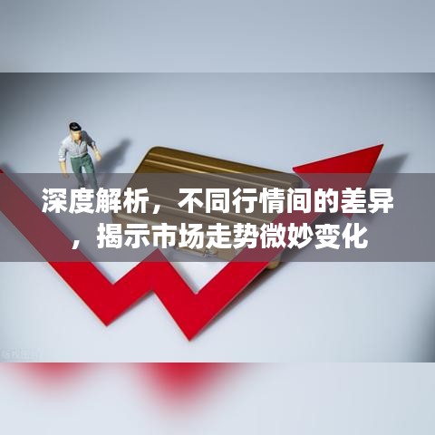 深度解析，不同行情間的差異，揭示市場走勢微妙變化