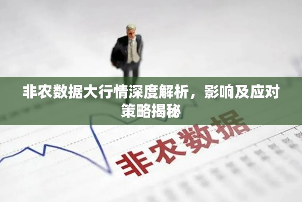 非農(nóng)數(shù)據(jù)大行情深度解析，影響及應對策略揭秘