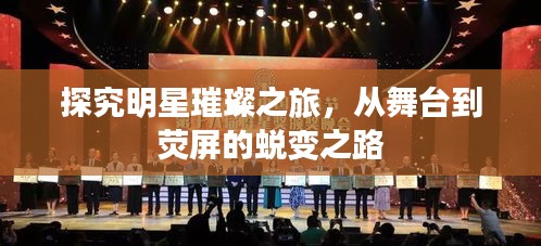 探究明星璀璨之旅，從舞臺(tái)到熒屏的蛻變之路