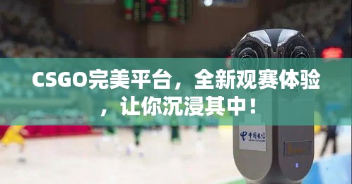 CSGO完美平臺(tái)，全新觀賽體驗(yàn)，讓你沉浸其中！