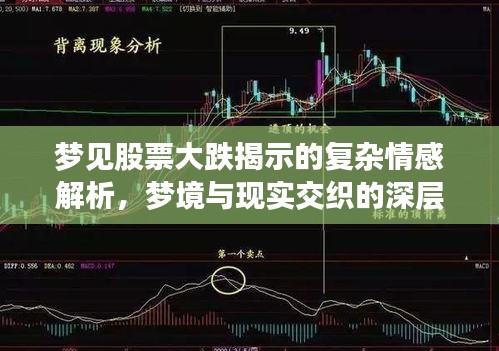 夢見股票大跌揭示的復雜情感解析，夢境與現(xiàn)實交織的深層解讀