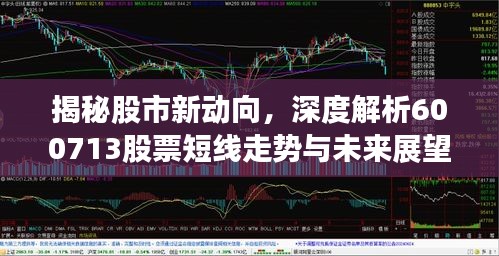 揭秘股市新動(dòng)向，深度解析600713股票短線走勢與未來展望