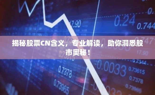揭秘股票CN含義，專業(yè)解讀，助你洞悉股市奧秘！