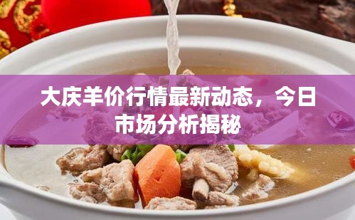 大慶羊價(jià)行情最新動(dòng)態(tài)，今日市場(chǎng)分析揭秘