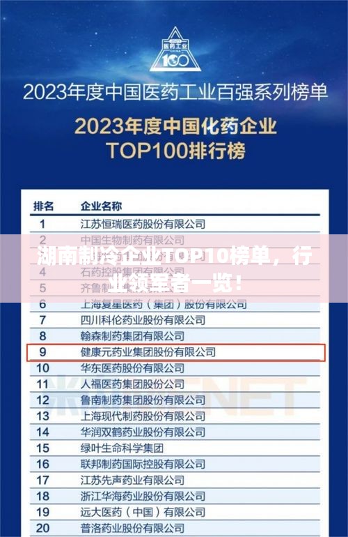 湖南制冷企業(yè)TOP10榜單，行業(yè)領(lǐng)軍者一覽！