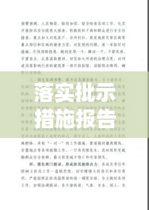 落實批示措施報告，批示落實情況 